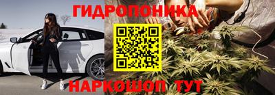 стаф Берёзовский